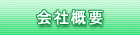 ЊTv