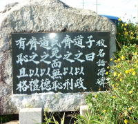 ZR^R̎ʐ^