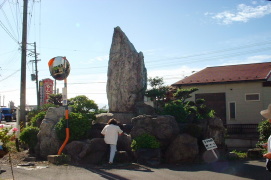 knnLO