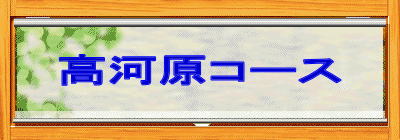 ͌R[X