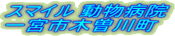 �X�}�C�� �����a�@ ��{�s�ؑ]�쒬