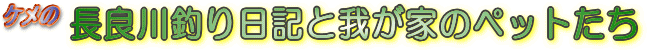 ǐނLƉ䂪Ƃ̃ybg̃y[Wւ悤I