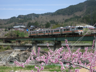 �����O�V�[�g�̃L�n�Q�T�P�O�O�O�ԑ�